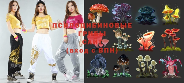 a pvp Осинники