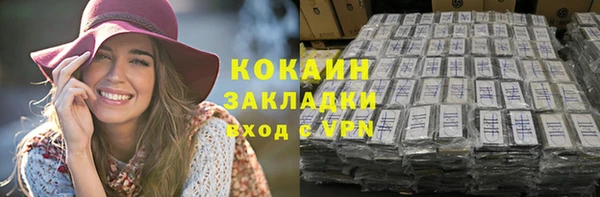 сатива Пересвет
