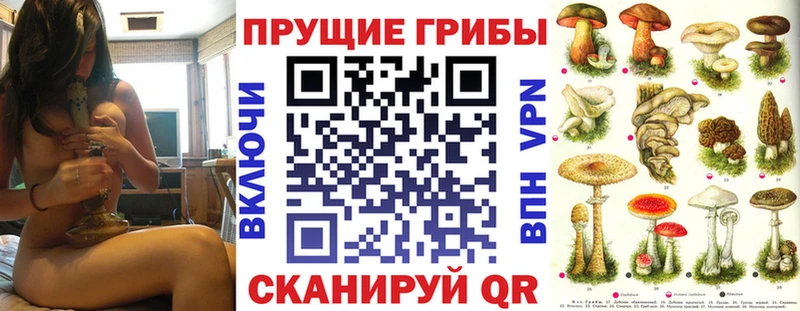 Псилоцибиновые грибы Magic Shrooms  blacksprut ССЫЛКА  Баксан 