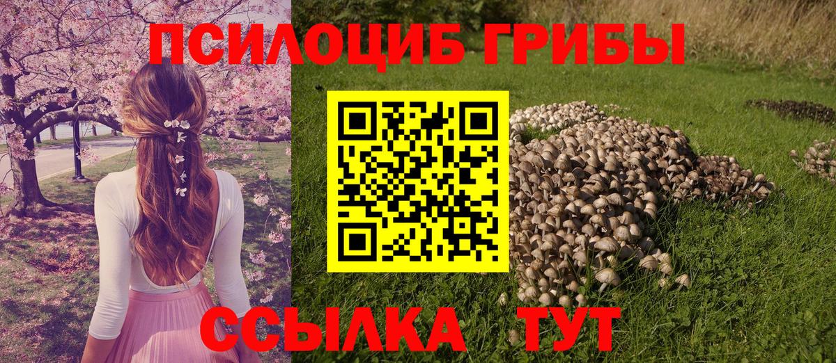 Баксан  наркота  Вход с VPN  Псилоцибиновые грибы прущие грибы 