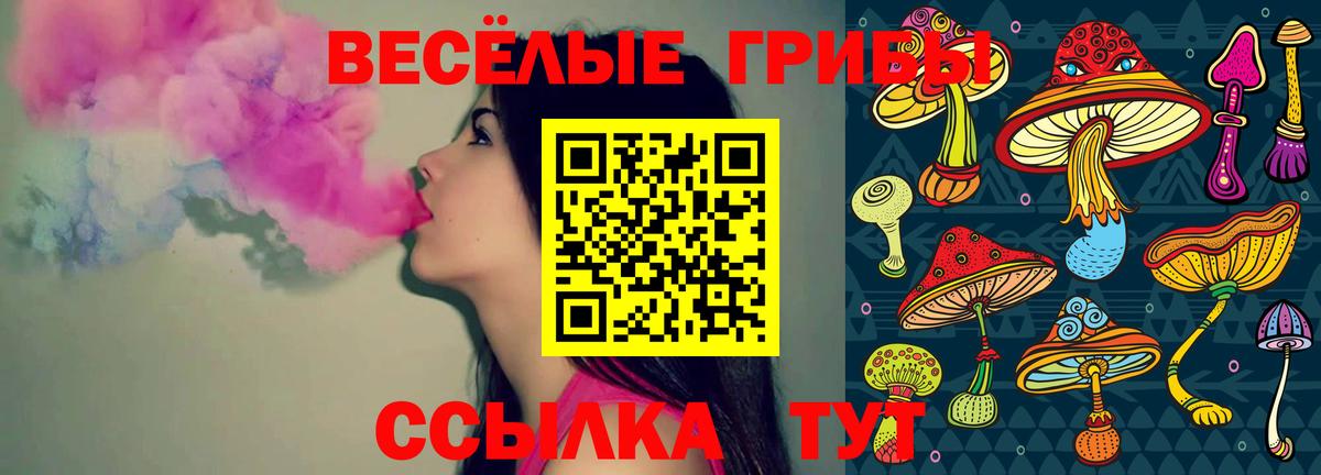 Галлюциногенные грибы прущие грибы  Баксан 